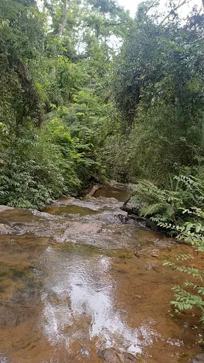 Foto 21 de Cachoeira do Vau Novo
