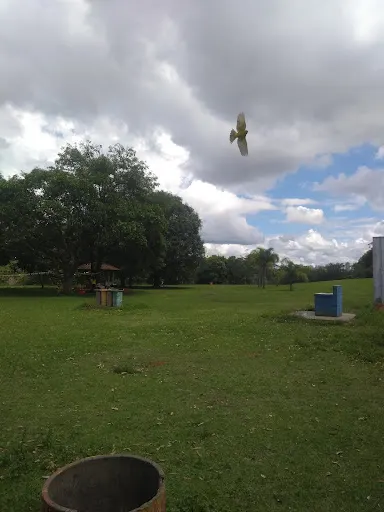 Foto 24 de Centro de Educação Ambiental - Parque Ecológico do Tietê