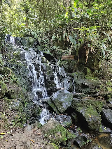 Foto 29 de Parque Estadual Cantareira - Núcleo Cabuçu