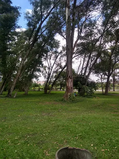 Foto 22 de Centro de Educação Ambiental - Parque Ecológico do Tietê