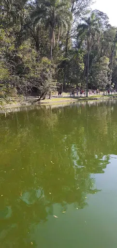 Foto 17 de Parque Horto Florestal - Portões 1 e 2