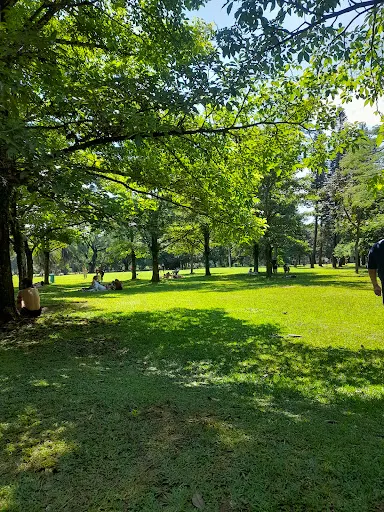 Foto 33 de Oca - Parque Ibirapuera