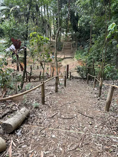 Foto 32 de Parque Ecológico Chico Mendes