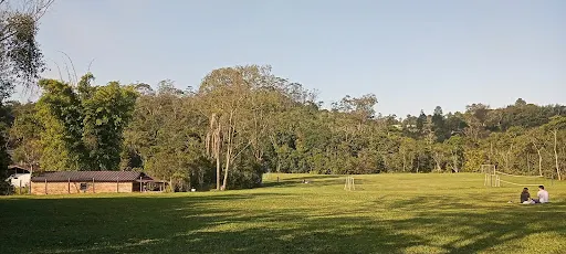 Foto 31 de Borboletário de São Paulo