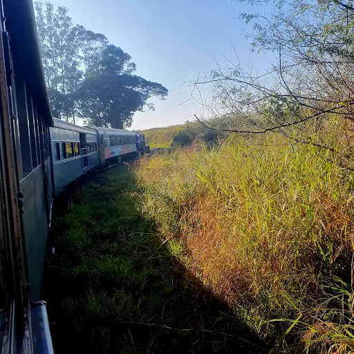 Foto 14 de Trem da República de Itu