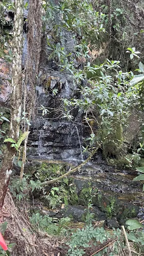 Foto 16 de CACHOEIRA DO SURU SERRA DO VOTORUNA