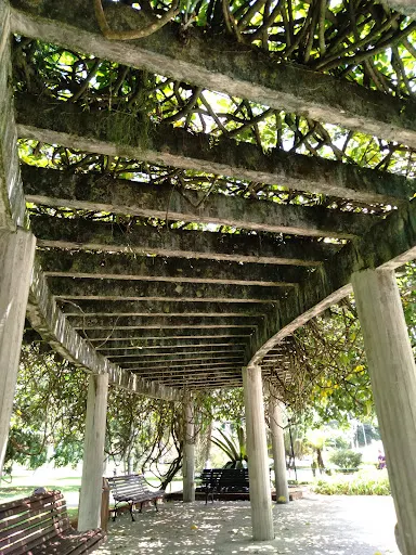 Foto 17 de Parque Estadual das Fontes do Ipiranga