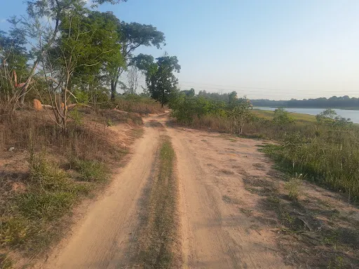Foto 32 de Horto Florestal Sumaré-SP