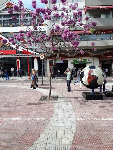 Foto 8 de Concrete Jungles Walking Tours