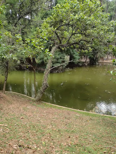 Foto 28 de Parque Horto Florestal - Portões 1 e 2