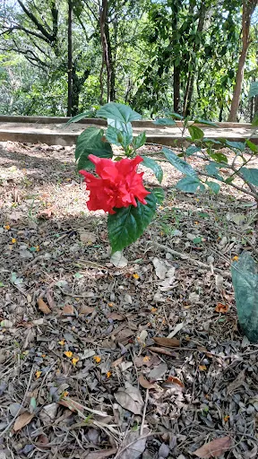 Foto 28 de Parque Linear Tiquatira - Eng. Werner Eugênio Zulauf