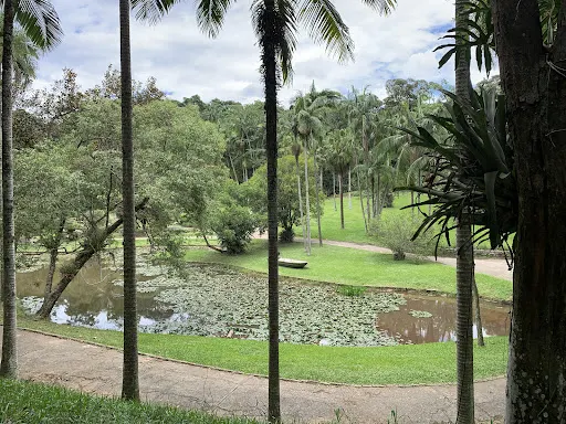 Foto 28 de Jardim Botânico de São Paulo