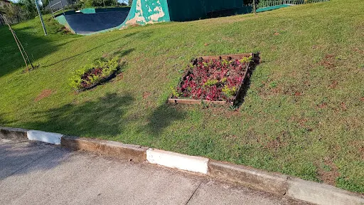 Foto 10 de Parque Regional Oeste