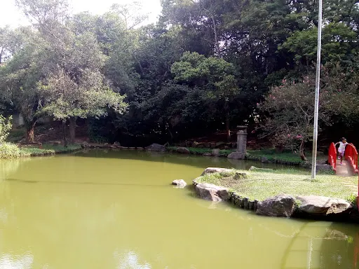 Foto 30 de Parque Takebe