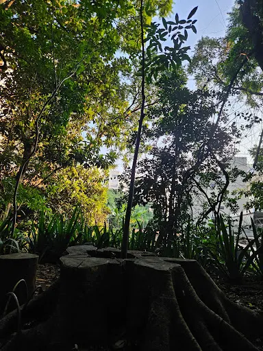 Foto 17 de Parque Tenente Siqueira Campos - Trianon