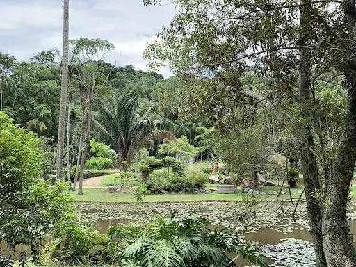Foto 25 de Jardim Botânico de São Paulo