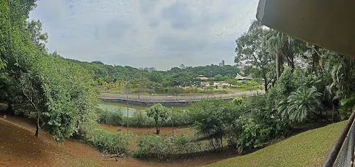 Foto 40 de Espaço Verde Chico Mendes