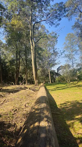 Foto 6 de Parque Ecológico do Jardim Bonança