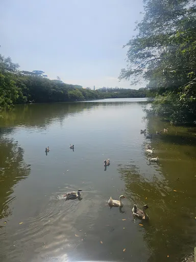 Foto 23 de Parque Ecológico Prof. Hermógenes de Freitas Leitão