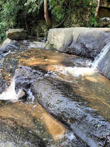Foto 12 de Trilha Cachoeira da Graça