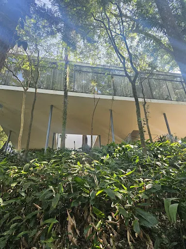 Foto 35 de Casa de Vidro Lina Bo Bardi