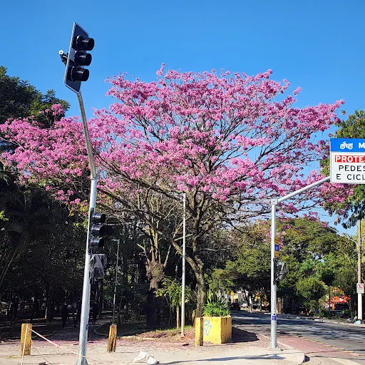 Foto 10 de Parque Linear Tiquatira - Eng. Werner Eugênio Zulauf