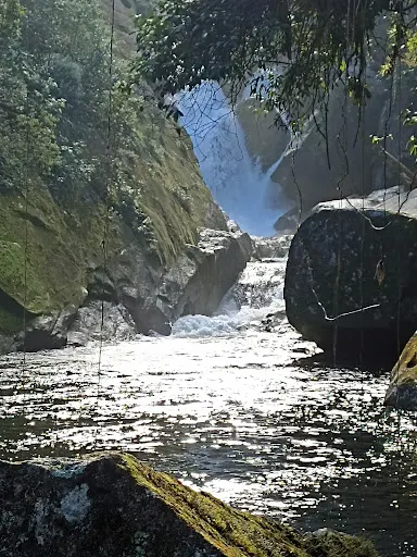 Foto 10 de Cachoeira do Rio Guacá