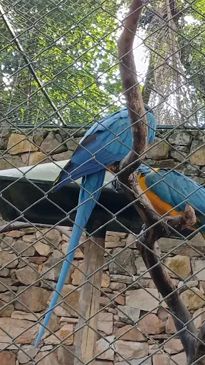Foto 18 de Zoo São Paulo