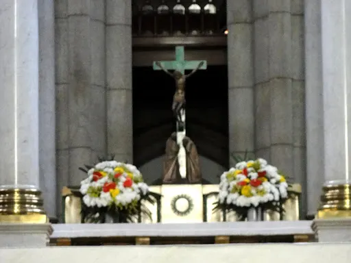 Foto 27 de Catedral Metropolitana Nossa Senhora da Assunção
