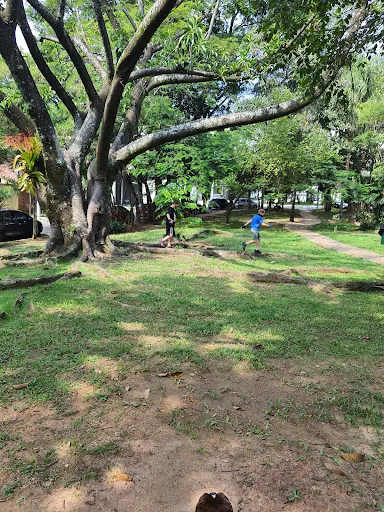 Foto 8 de ParCão Chácara Monte Alegre