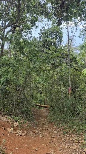 Foto 12 de Cachoeira do Vau Novo