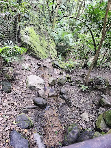 Foto 40 de Parque Estadual Jaraguá