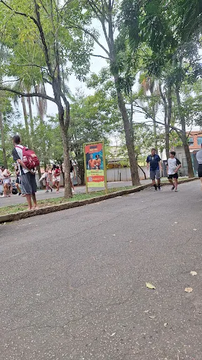Foto 40 de Parque Estadual Alberto Löfgren - Horto Florestal