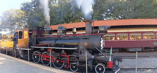 Foto 38 de Passeio de trem - Maria Fumaça Campinas