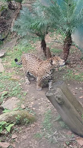 Foto 16 de Zoo São Paulo