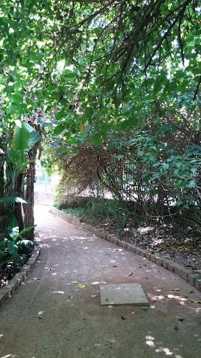 Foto 36 de Parque Severo Gomes