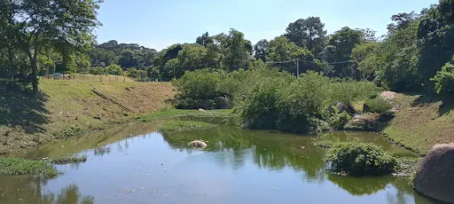 Foto 39 de Parque Horto Florestal - Portão 4