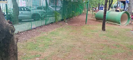 Foto 13 de Parque Ecológico Dionísio Alvarez Mateos