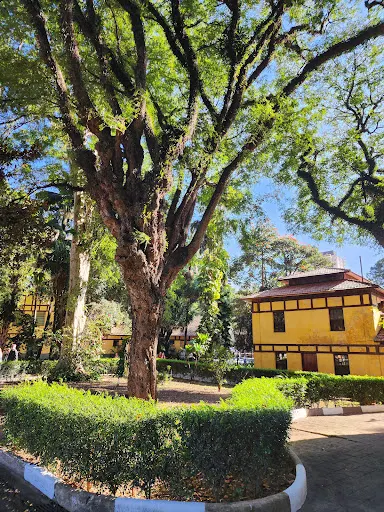 Foto 23 de Parque da Água Branca