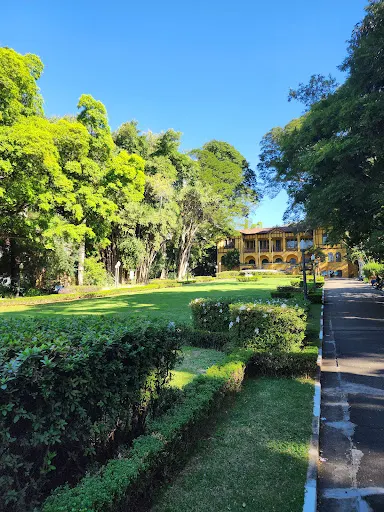 Foto 34 de Parque da Água Branca