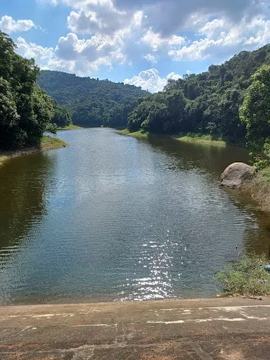 Foto 27 de Parque Estadual Cantareira - Núcleo Engordador