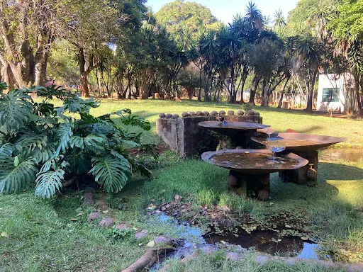 Foto 17 de Parque Ecológico Roberto Burle Marx (Parque das Águas)
