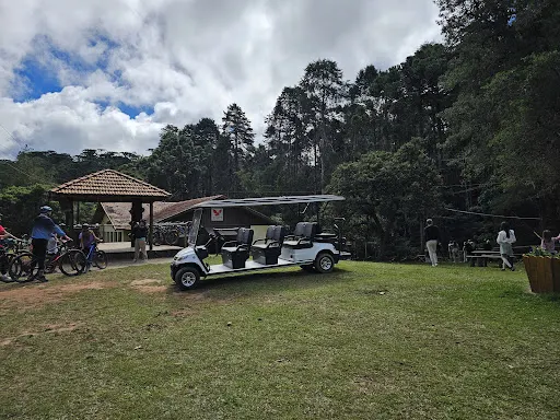 Foto 40 de Parque Estadual Campos do Jordão (Horto Florestal)
