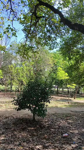 Foto 29 de Parque Linear Tiquatira - Eng. Werner Eugênio Zulauf