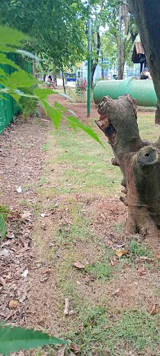 Foto 14 de Parque Ecológico Dionísio Alvarez Mateos