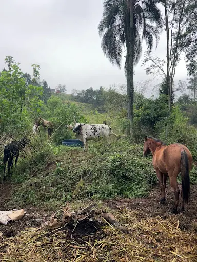 Foto 8 de Rancho do Pão