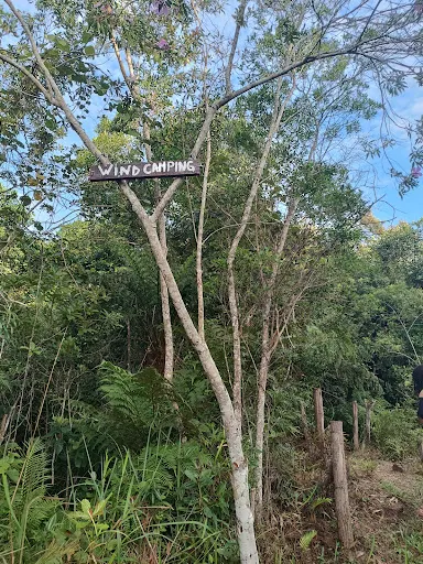 Foto 17 de Camping do Fundo