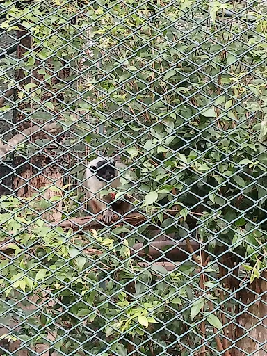Foto 23 de Zoo São Paulo
