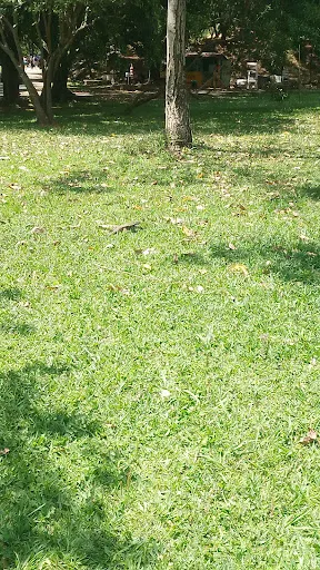 Foto 29 de Parque Tietê Ecológico Barueri