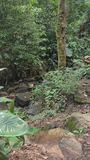 Foto 20 de CACHOEIRA DO SURU SERRA DO VOTORUNA